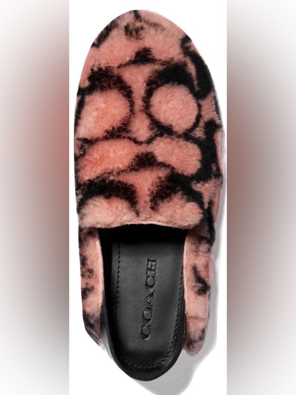 Coach Slippers in Signature Shearling
